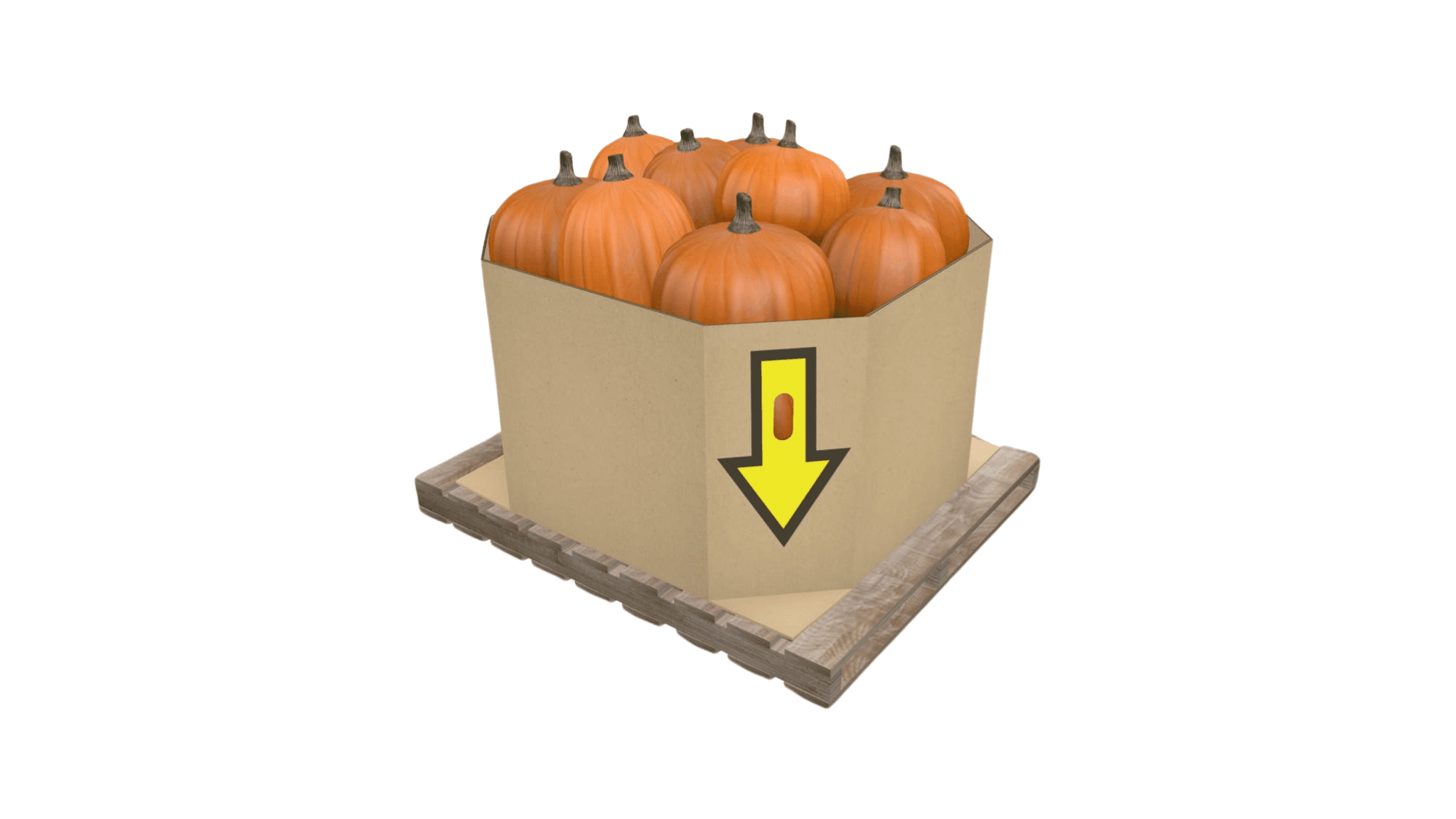 Pumpkin - Bulk Bin - TRG - Gaylord Packaging - Heavyweight Packaging